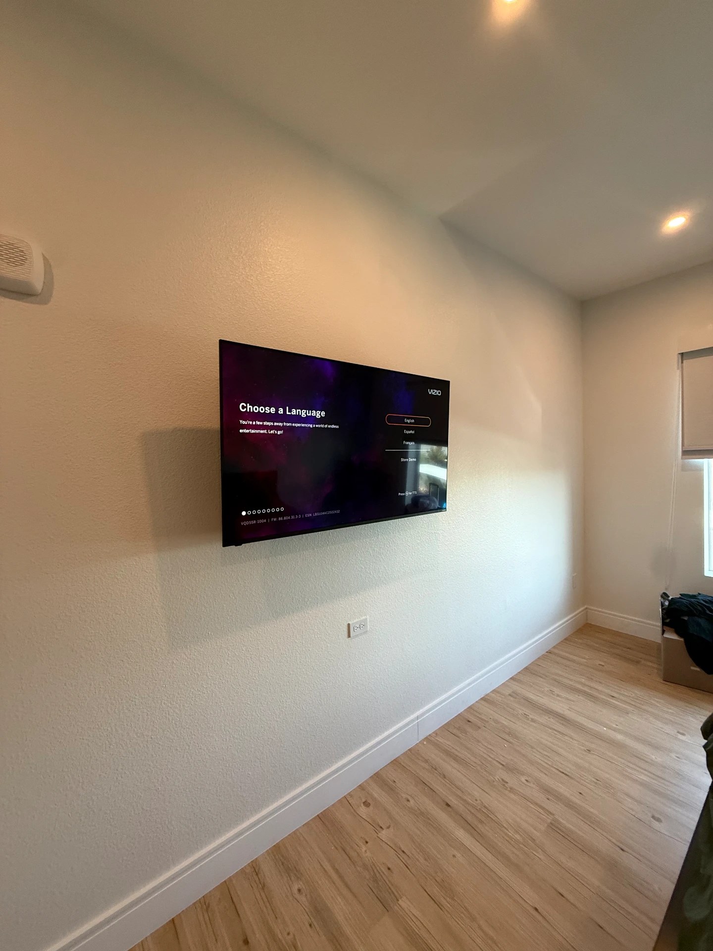 TV & Art Mounting project in Las Vegas